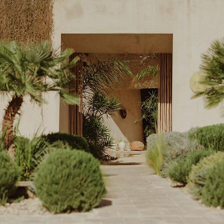 Ecohotel El Agua Arico el Nuevo Exteriér fotografie