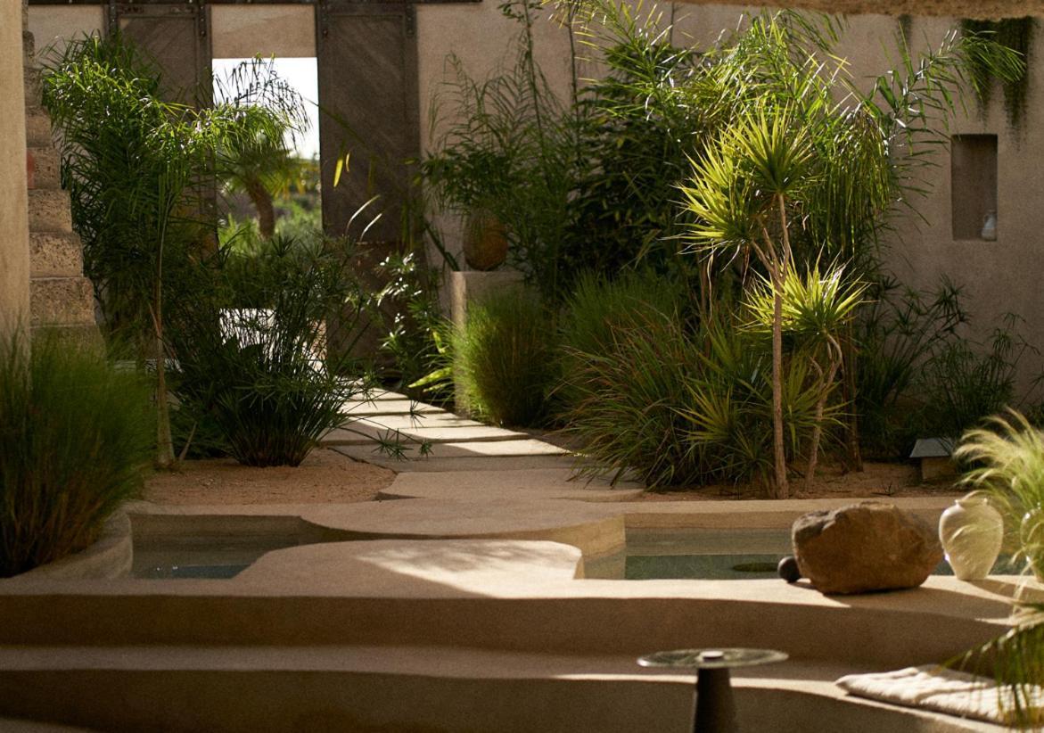 Ecohotel El Agua Arico el Nuevo Exteriér fotografie