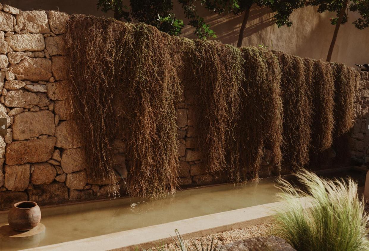 Ecohotel El Agua Arico el Nuevo Exteriér fotografie
