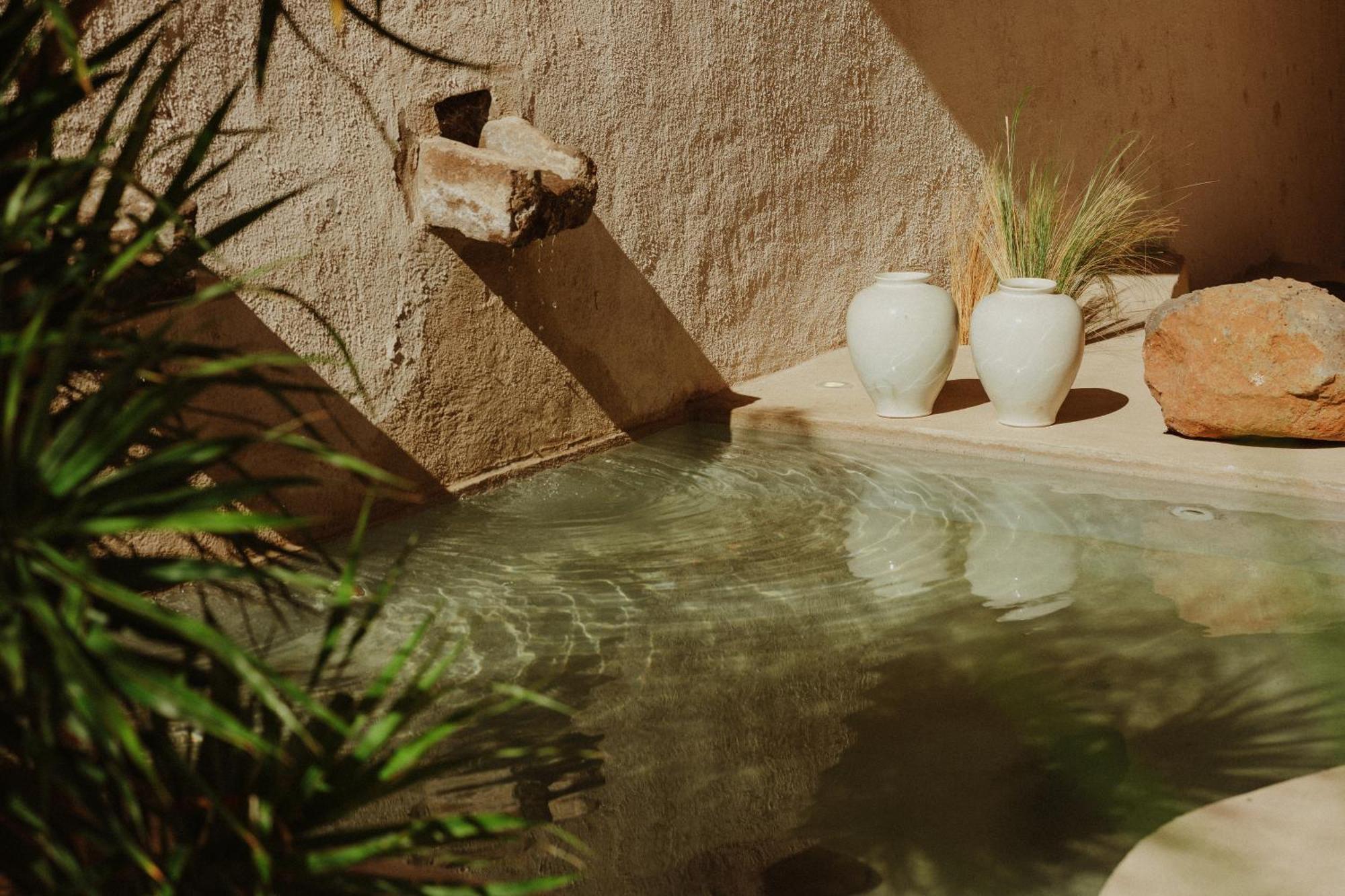 Ecohotel El Agua Arico el Nuevo Exteriér fotografie