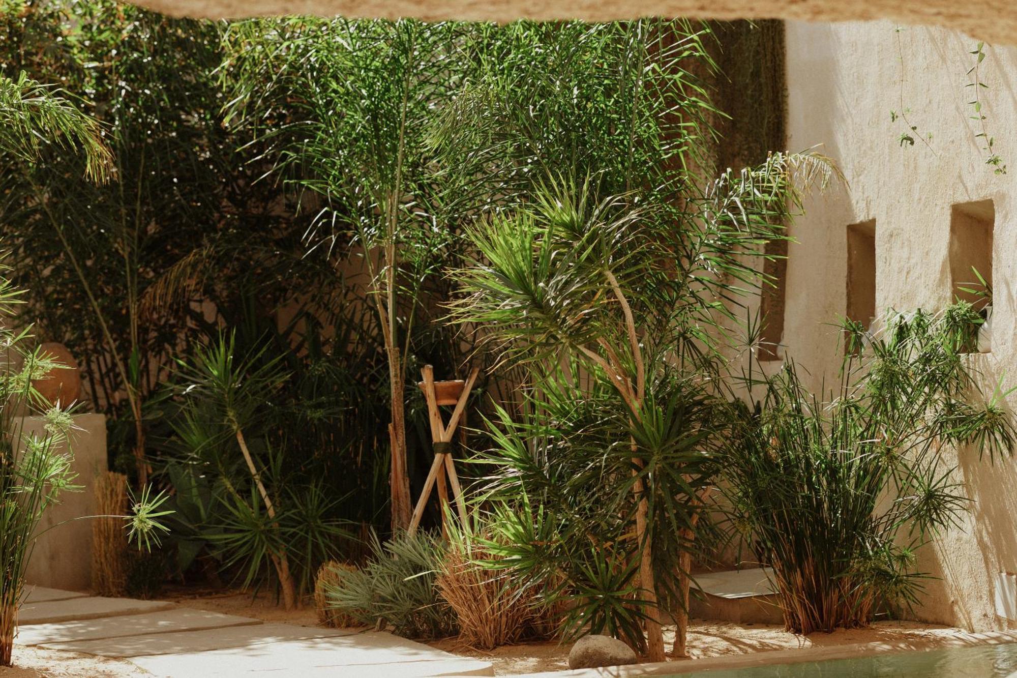 Ecohotel El Agua Arico el Nuevo Exteriér fotografie